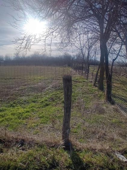 Teren de 1643 mp, în Răzoarele