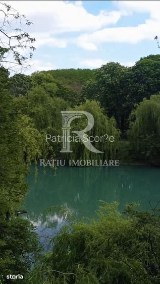 Teren cu lac | 9.000 mp | Oportunitate Investitionala