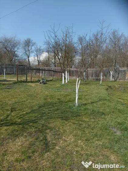 Casă cu 2 camere în Țichindeal