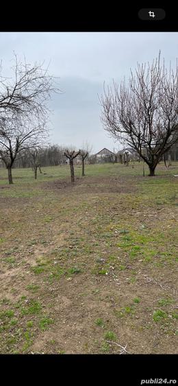 Teren de 1800 mp, în Coșoveni