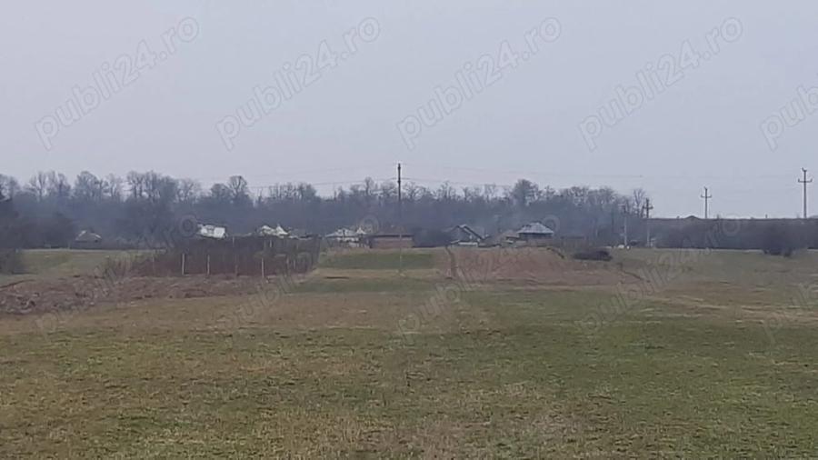 Teren 10.000 mp si casa in Stolinici Arges - 4