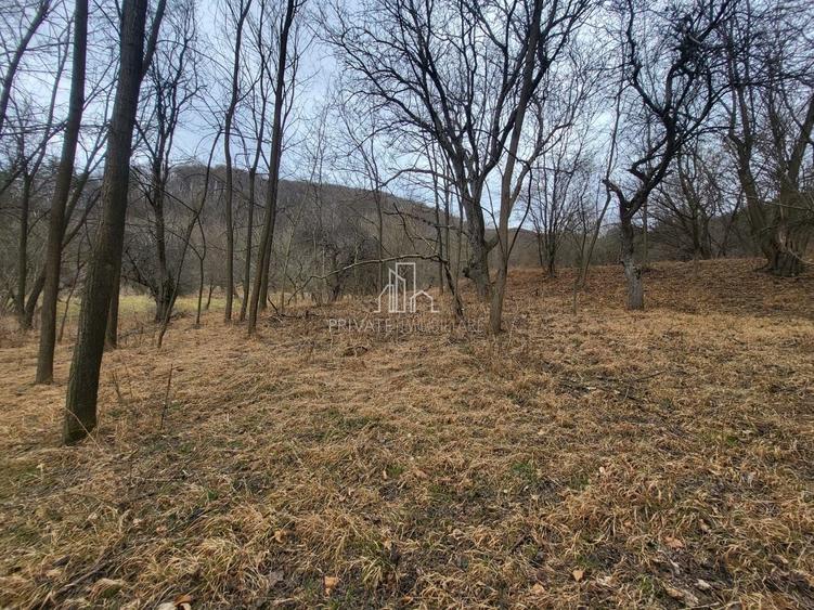 Teren intravilan de 10000 mp, în Periferie