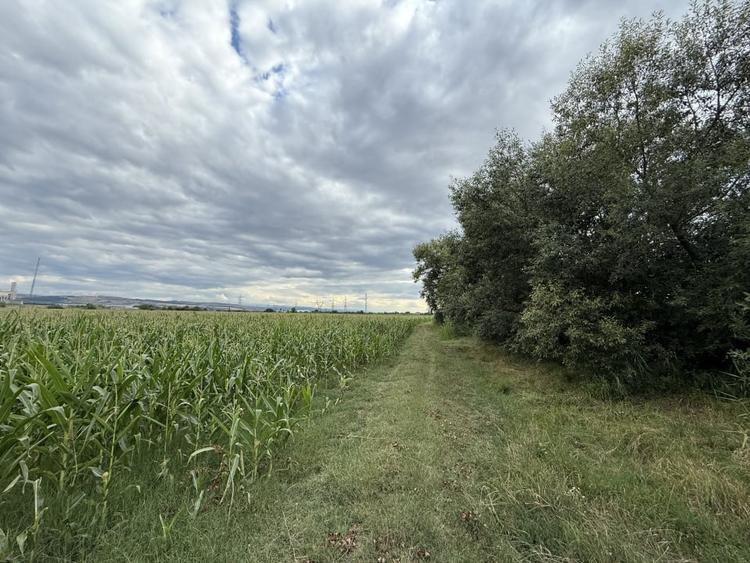 Teren agricol extravilan de 6936 mp, în Exterior Nord