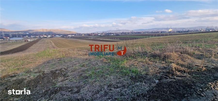 Teren de 2125 mp, în Bărăbanț