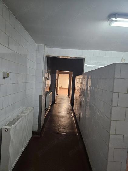 Spațiu comercial, de 500 mp, în Lizeanu
