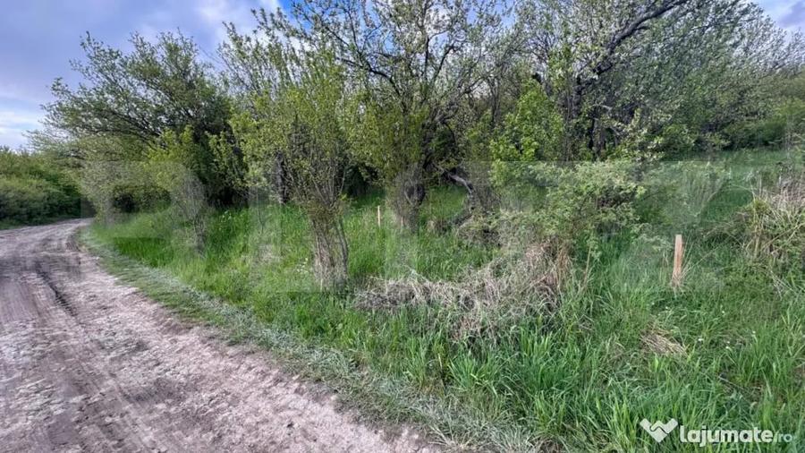 Teren extravilan de vanzare, 2.670 mp, Bistrita - 4