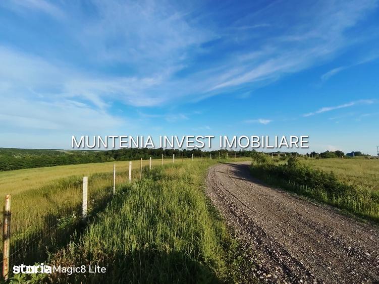 Teren de 935 mp, în Moșoaia