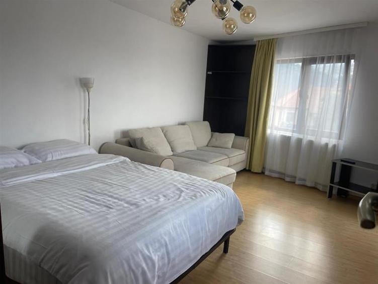 Garsoniera deschisa si la regim hotelier, priveliste frumoasa, pet friendly, loc - 4
