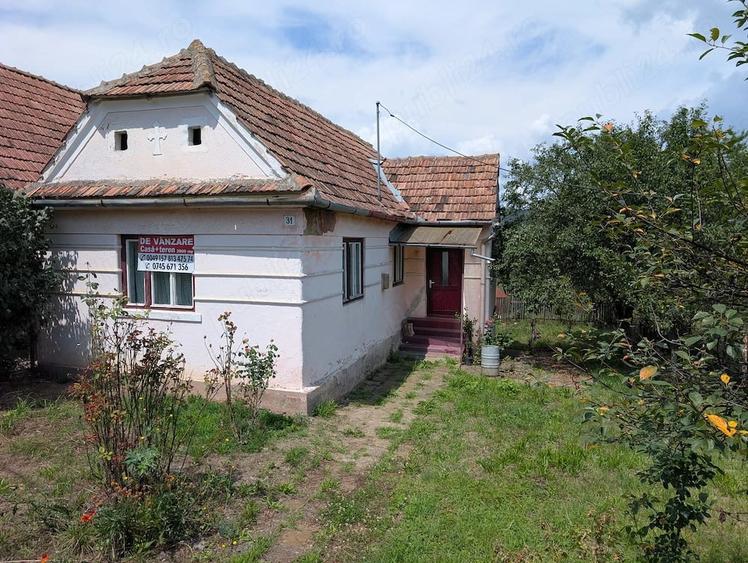 Casă cu Teren 3000 Mp în Albești