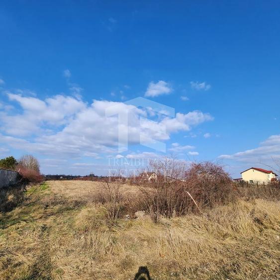 Teren Construcții intravilan de 5000 mp, în Vlădiceasca