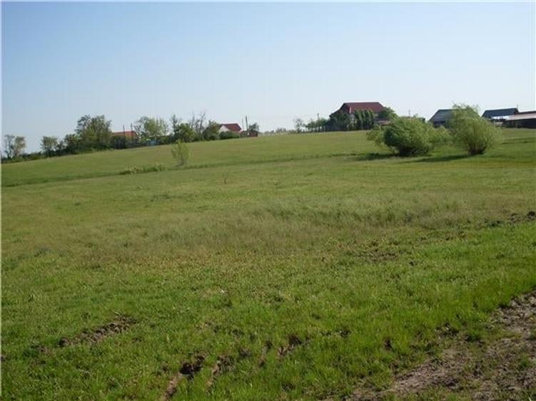 Teren de 55000 mp, în Salonta