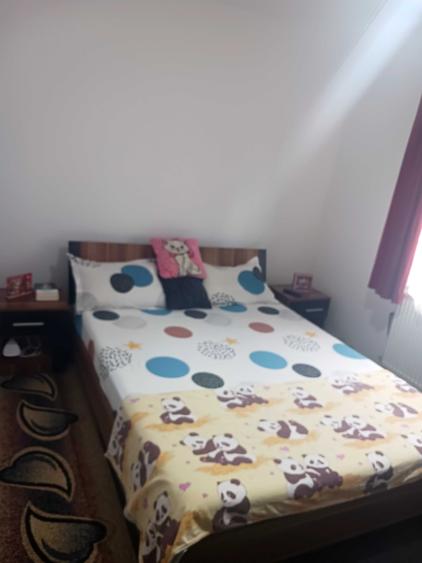 Apartament cu 2 camere semidecomandat în Craiovița Nouă