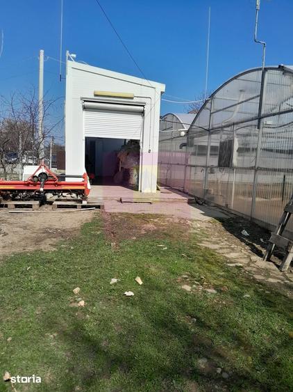 Teren de 3144 mp, în Roșiori
