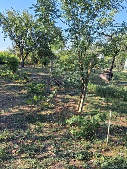 Casă individuală cu 2 camere cu Teren 1500 Mp în Orbeasca de Sus