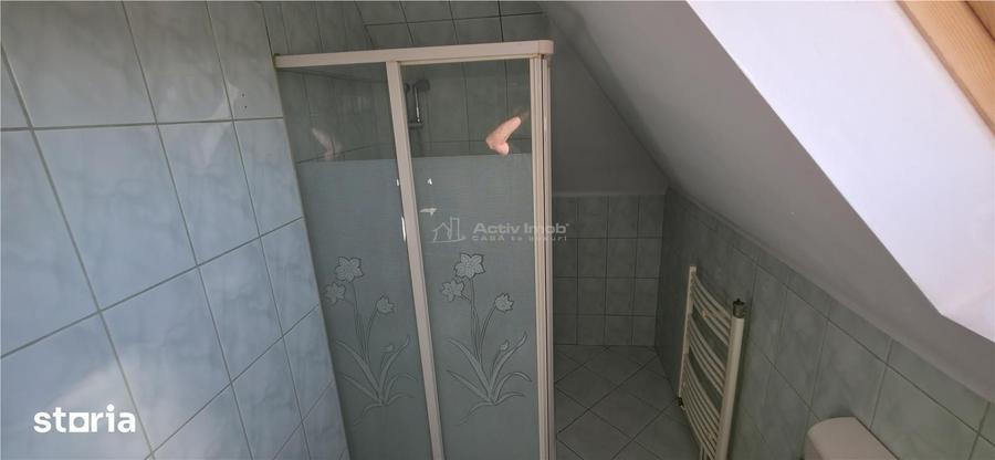 Casă cu 4 camere cu Teren 1219 Mp în Remetea Mare