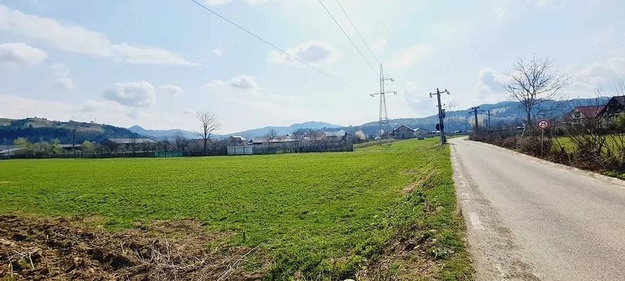 Teren de 8906 mp, în Dofteana
