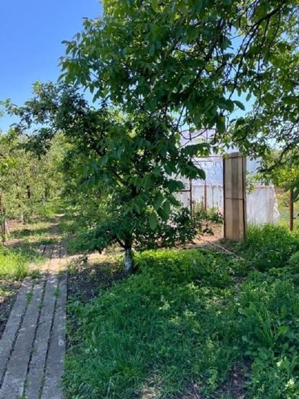 Casă individuală cu 5 camere cu Teren 1800 Mp în Bucșani