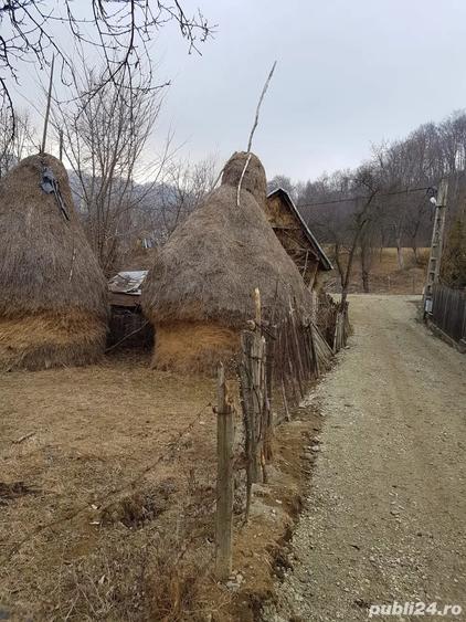 Teren de 1700 mp, în Olănești