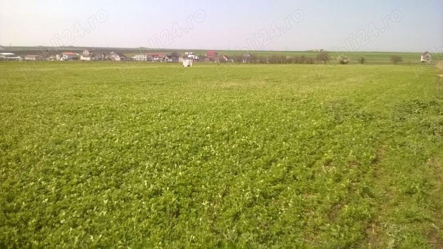 Teren de 7500 mp, în Central