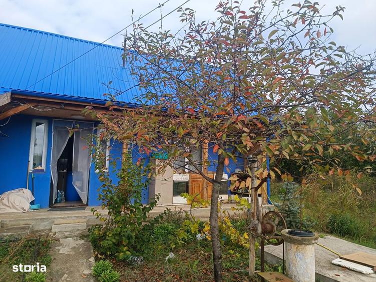 Casa la curte judetul Giurgiu - 4