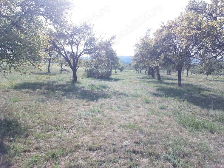 Teren de 2000 mp, în Coaș