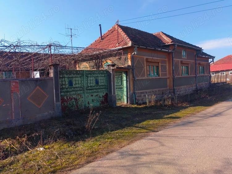 Casă în Săldăbagiu Mic