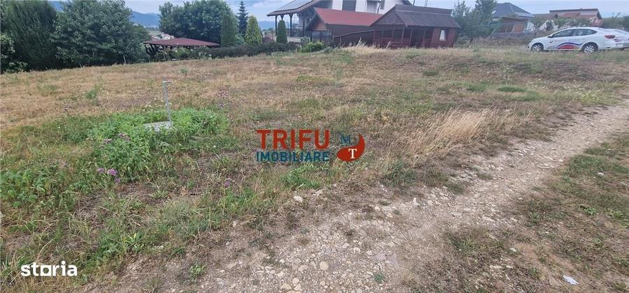 Spațiu comercial, în Șeușa