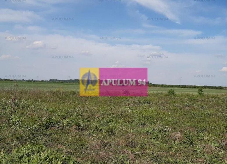 Teren Construcții intravilan de 3820 mp, în 1 Decembrie