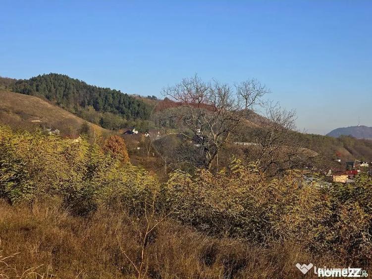 Teren 6,874mp Alexandru cel Bun / Strada plopusor - 1