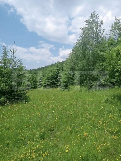 Teren Construcții intravilan de 12000 mp, în Scărișoara