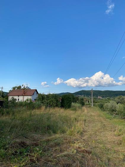 Teren Construcții intravilan de 2039 mp, în Curtea de Argeș