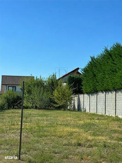 Teren - Dumbravita - casa individuala - 2