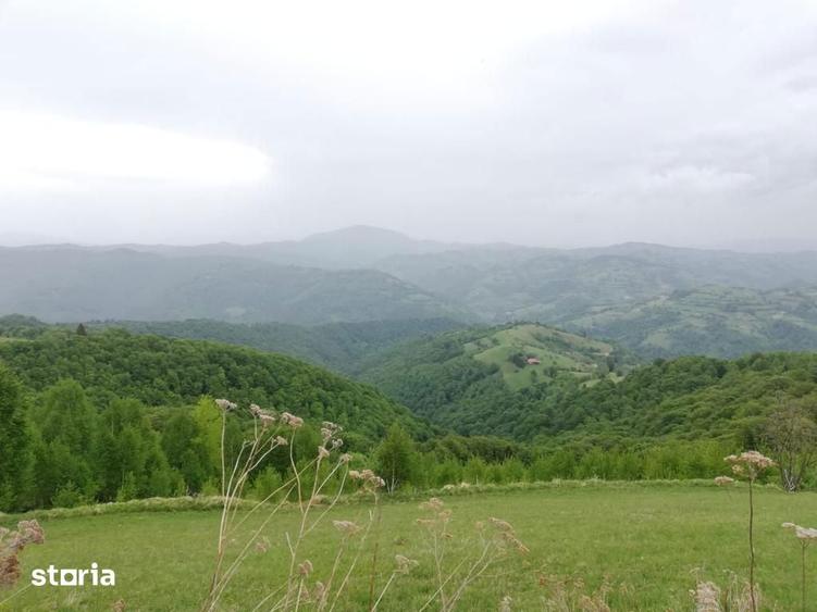 Teren de 20340 mp, în Crizbav
