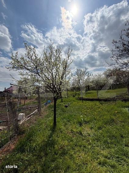 Casă cu 2 camere în Copăceni