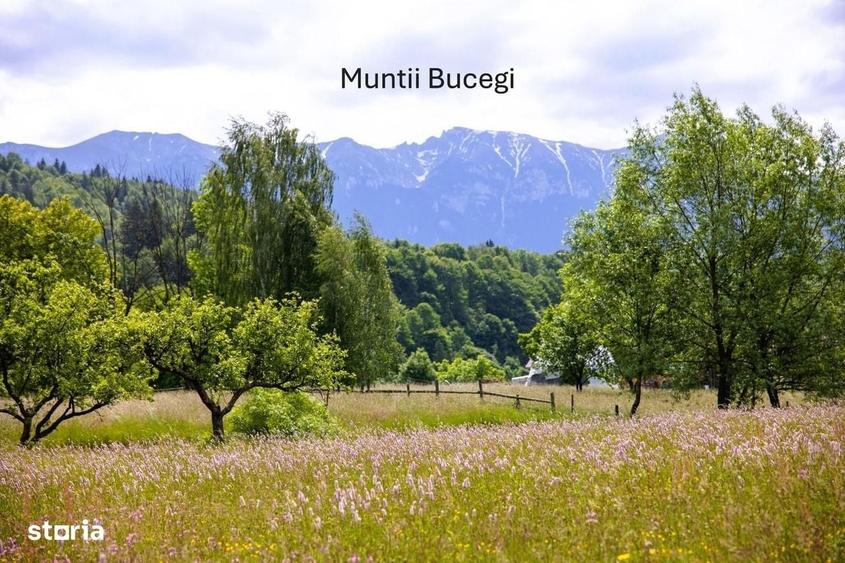 Spațiu comercial, în Șimon