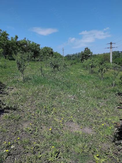Teren de 6000 mp, în Fălticeni