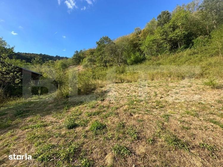 Casă cu 3 camere cu Teren 10900 Mp în Băița