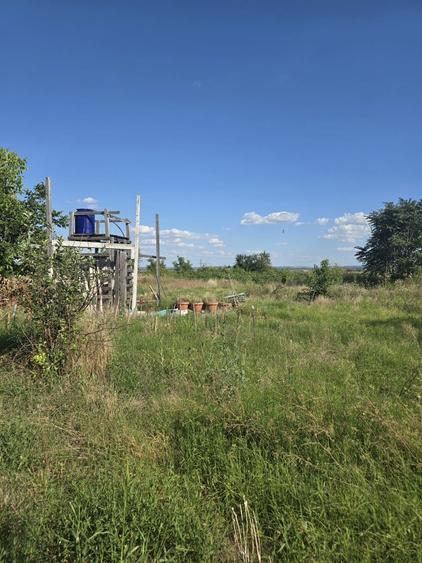 Casă cu 3 camere în Central