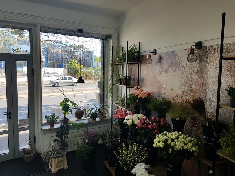 Spațiu comercial, de 100 mp, în Tineretului