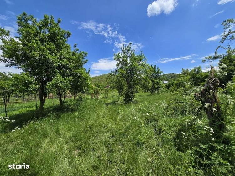 Casă cu 4 camere cu Teren 3450 Mp în Mușătești