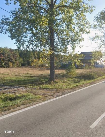 Teren de 5500 mp, în Cotmeana