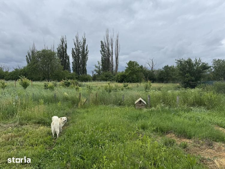 Casă cu 6 camere cu Teren 1500 Mp în Girov
