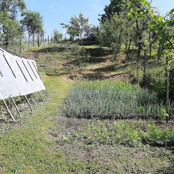 Casă cu Teren 850 Mp în Vale