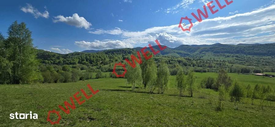 Teren de 1740 mp, în Vama Buzăului