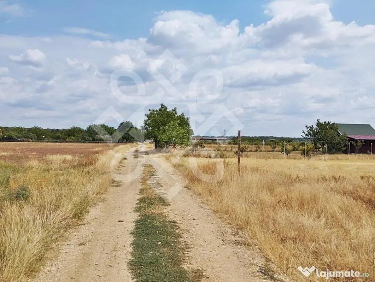 Teren intravilan de vanzare, 3000 mp in Gepiu, Bihor - 1