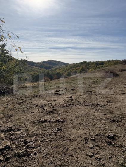 Teren agricol extravilan de 30055 mp, în Făgetu