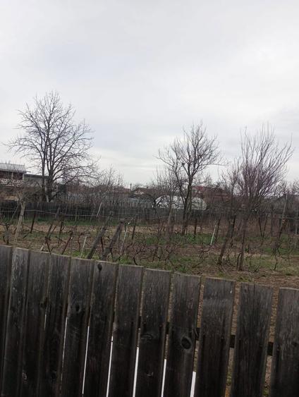 Spațiu comercial, în Săucești