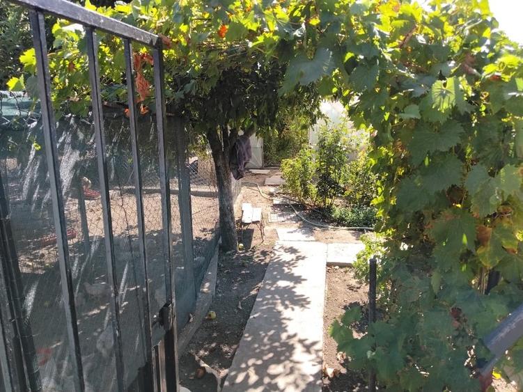 Casă cu 5 camere cu Teren 1200 Mp în Dobrosloveni