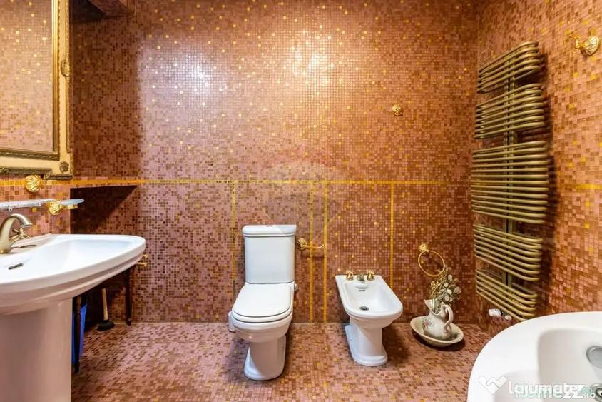 Casă cu 7 camere cu Teren 1255 Mp în Ciofliceni
