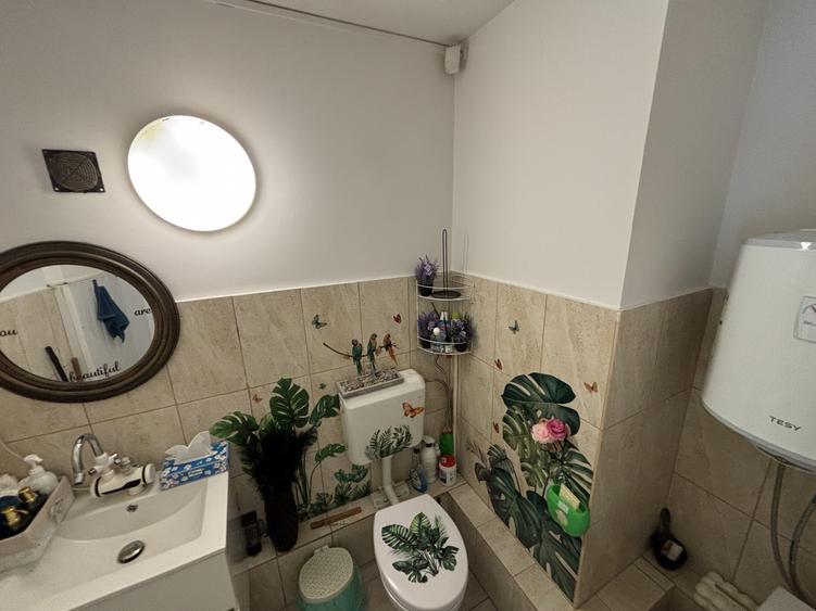 Casă individuală cu 6 camere cu Canalizare în Iancului